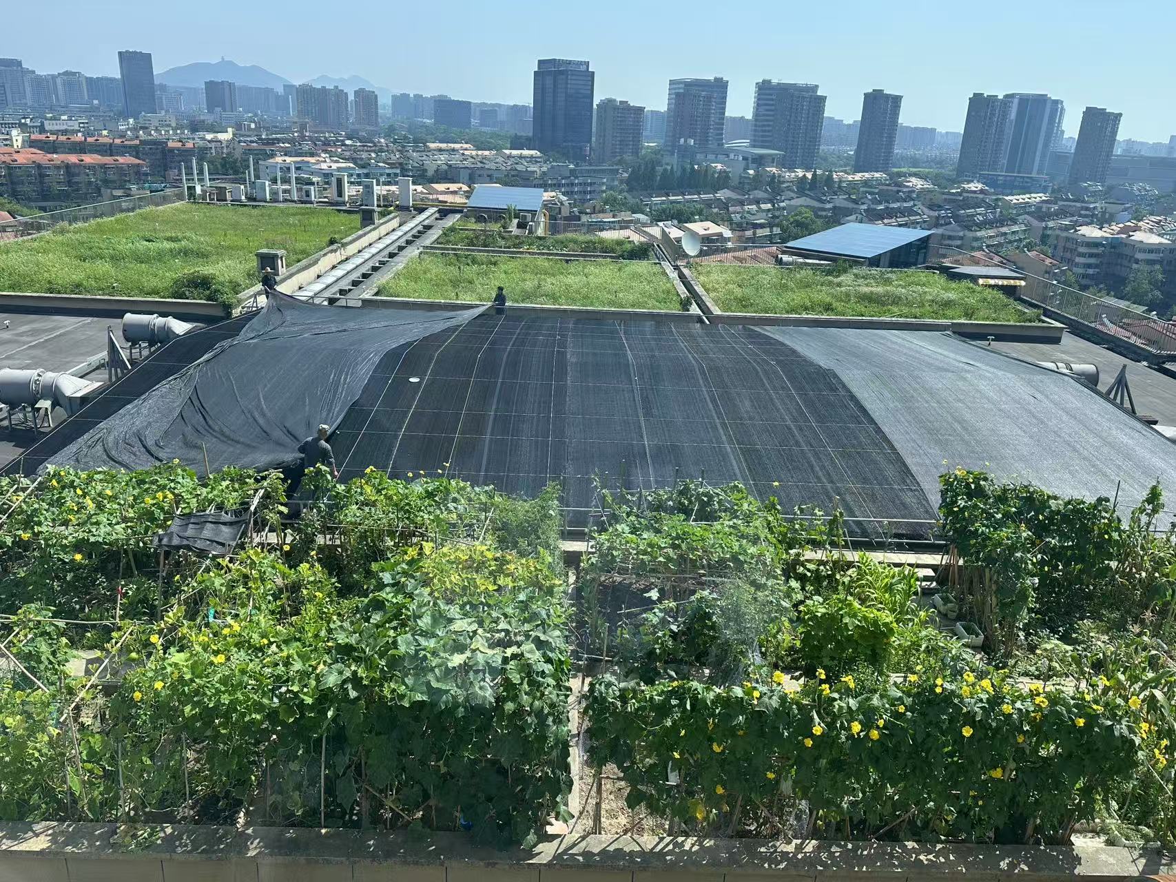 水晶城巧施”遮阳术“，为节能降耗注入清凉动力