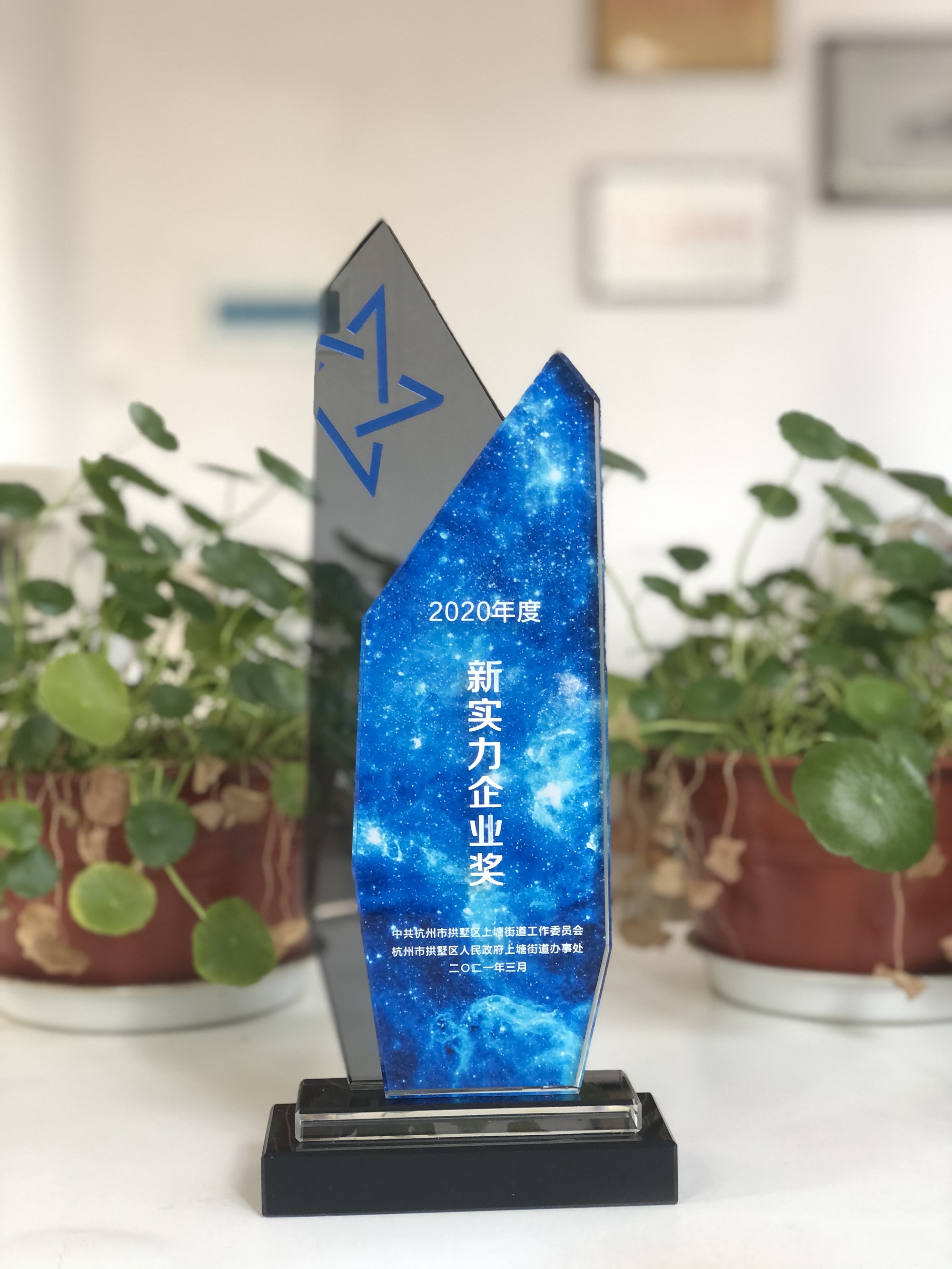浙江88858cc永利官网网络科技有限公司荣获“新实力企业奖”