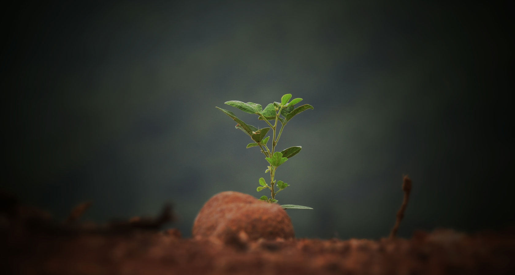 itb8888通博(中国区)官方网站
